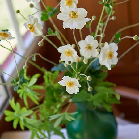 Inn Berggasthof Einoedsbach *