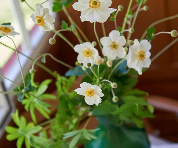 Herberg Berggasthof Einoedsbach *